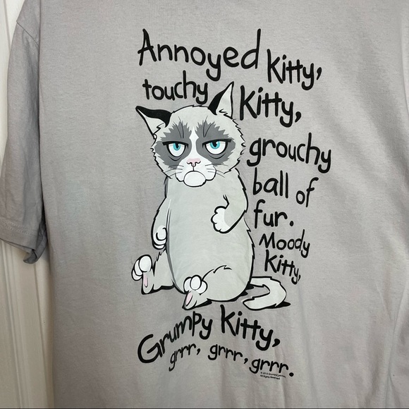Bay Island Sportswear Tops - BUY 2 GET 3rd FREE Grumpy Cat, Soft Kitty t-shirt size XL